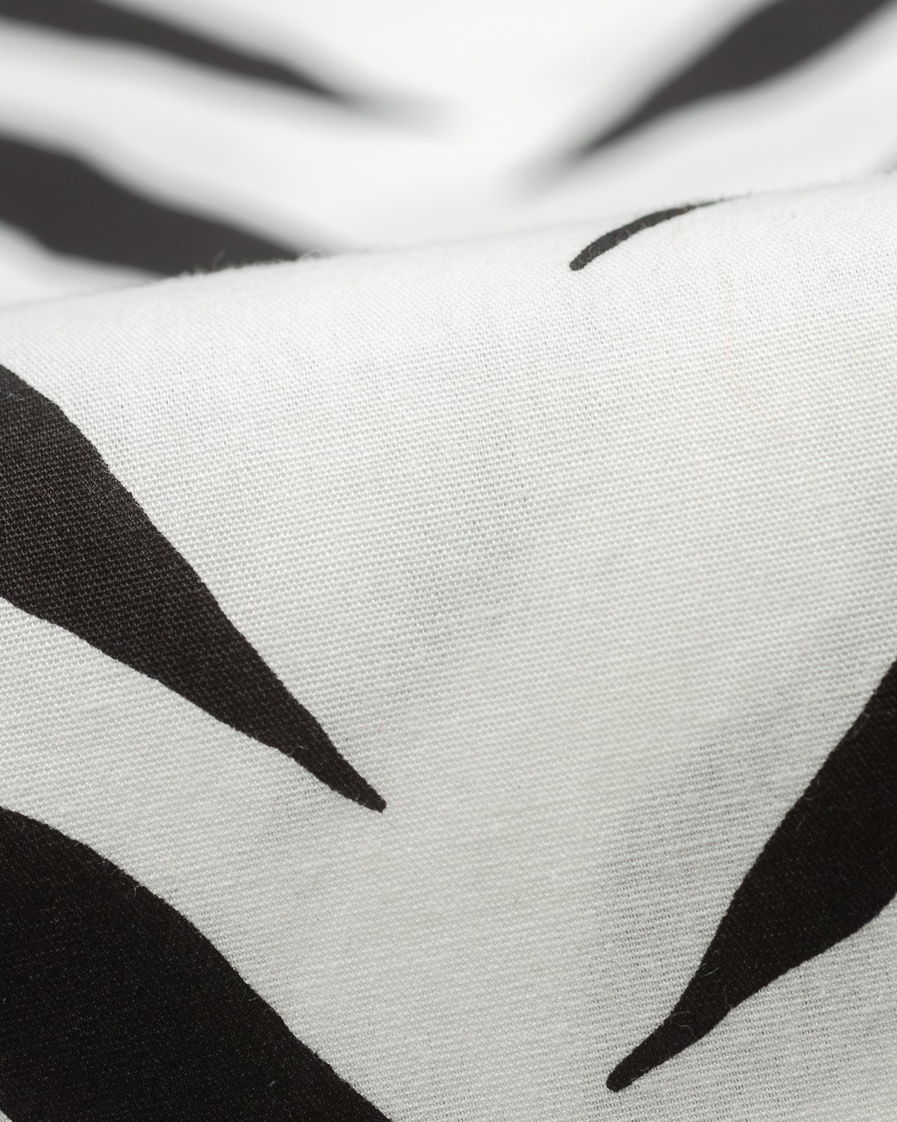 Attractions Zebra Shirt - White - Standard & Strange