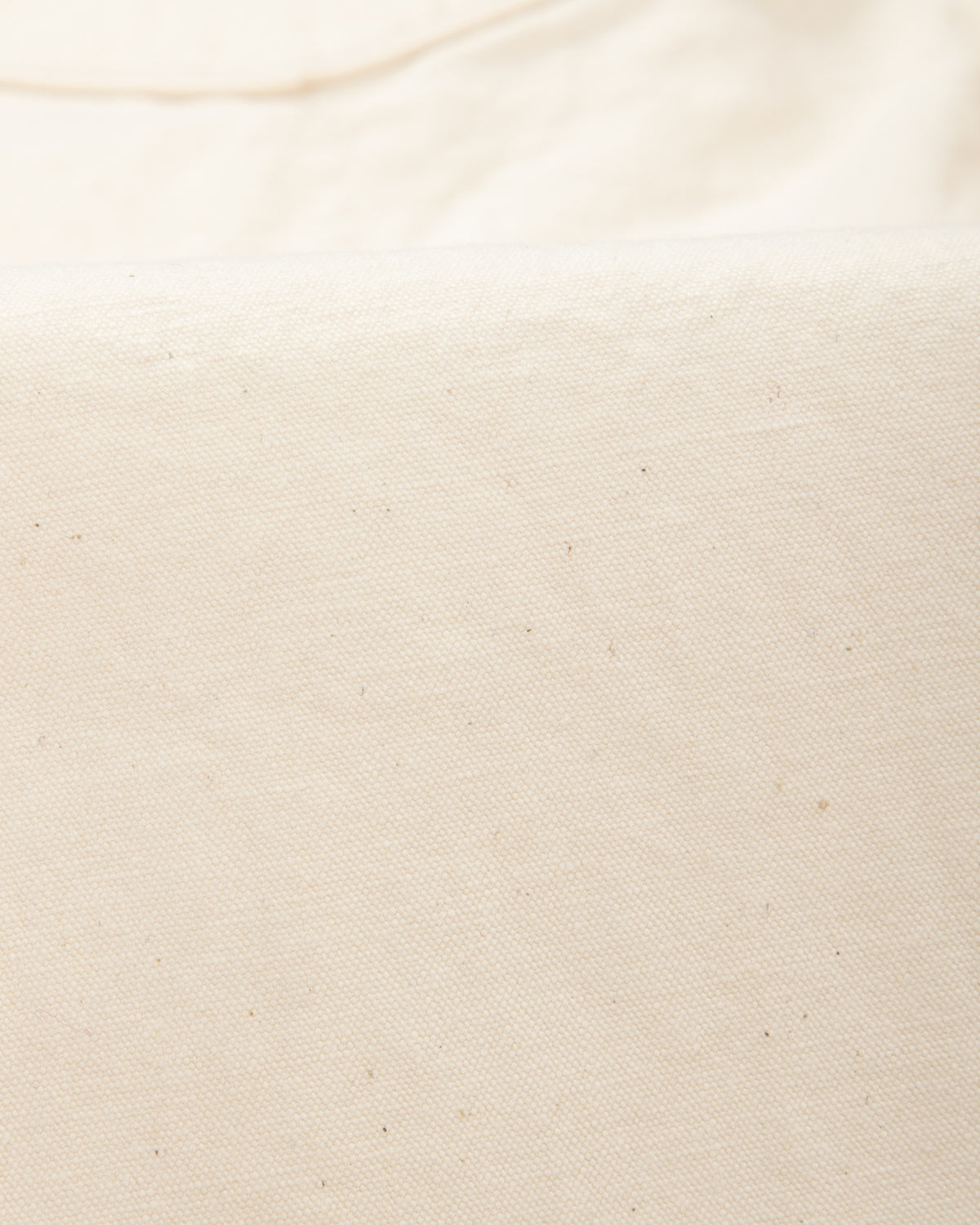 Freenote Modesto Buckleback - 11oz Natural Rinsed Canvas - Standard & Strange