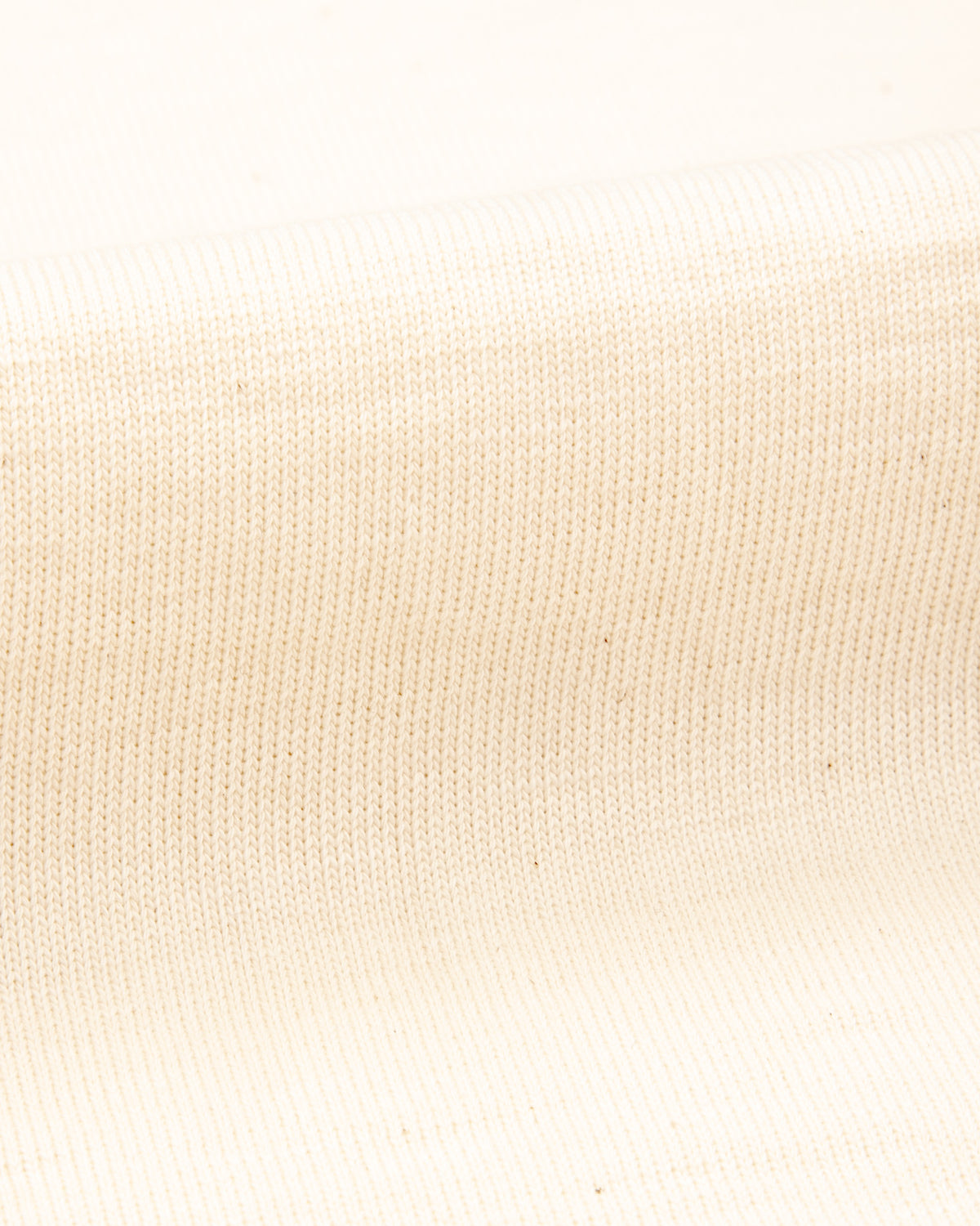 2S08 Loopwheeled Relaxed Fit Heavyweight L/S Henley - Nature
